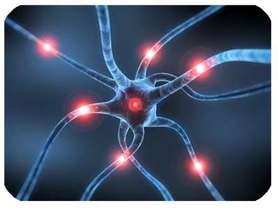 Efecto cannabimimético de la osteopatía